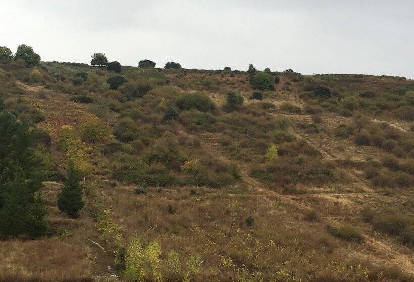 פנסיון Nruta Ponferrada