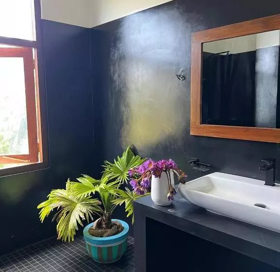 ユースホステル Coconut Palm Beach Restaurant And Rooms