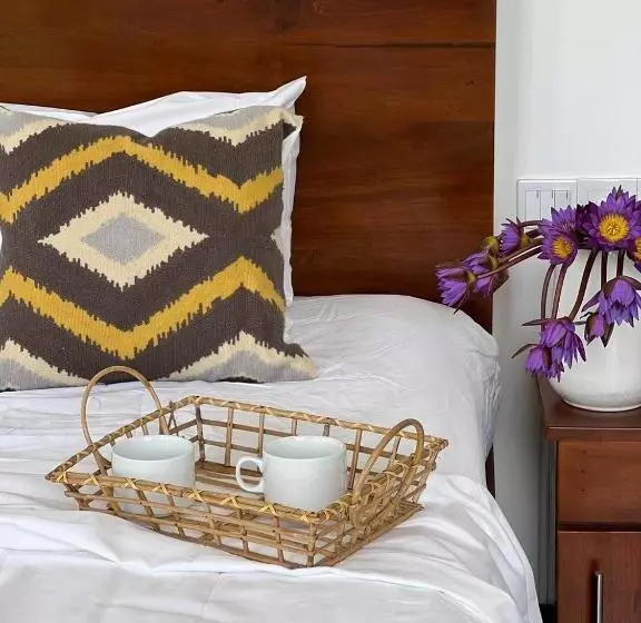 ユースホステル Coconut Palm Beach Restaurant And Rooms