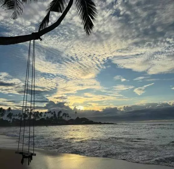 ユースホステル Coconut Palm Beach Restaurant And Rooms