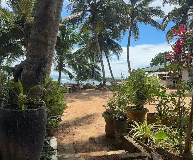 ユースホステル Coconut Palm Beach Restaurant And Rooms
