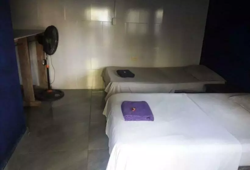 ペンション Hostal Casa De Los Virreyes