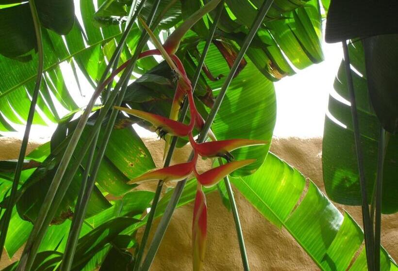 פנסיון Hostal Casa De Los Virreyes