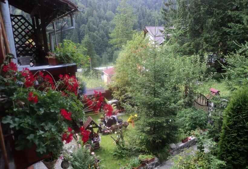 Pensiunea Alexandra & Diego