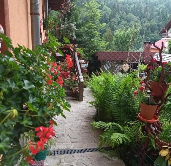 Pensiunea Alexandra & Diego