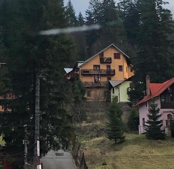 Pensiunea Alexandra & Diego