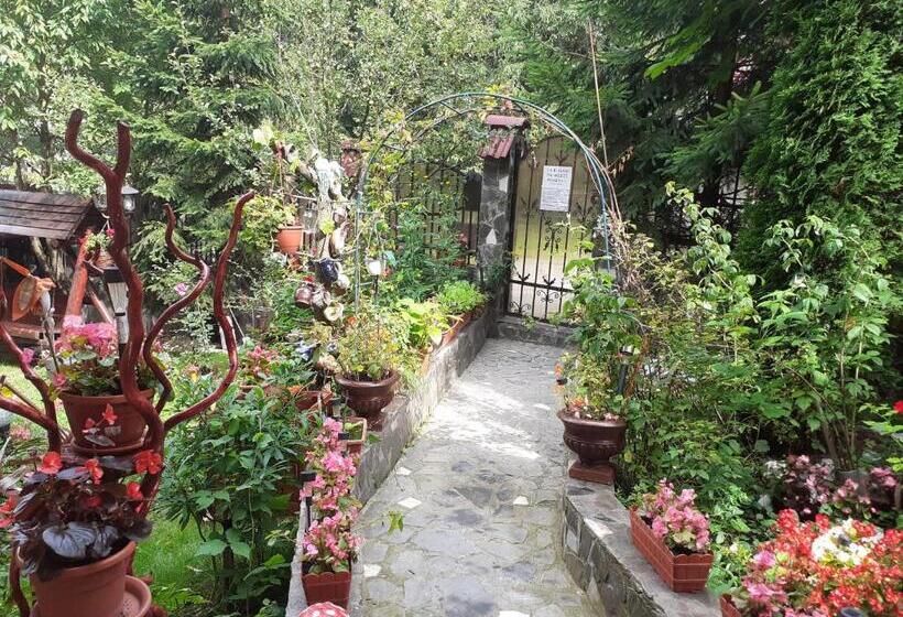 Pensiunea Alexandra & Diego