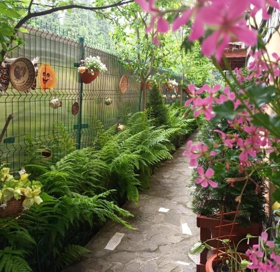 Pensiunea Alexandra & Diego