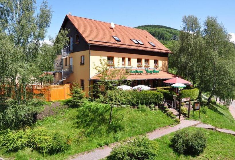 Steakhouse & Pension Crazy Horse