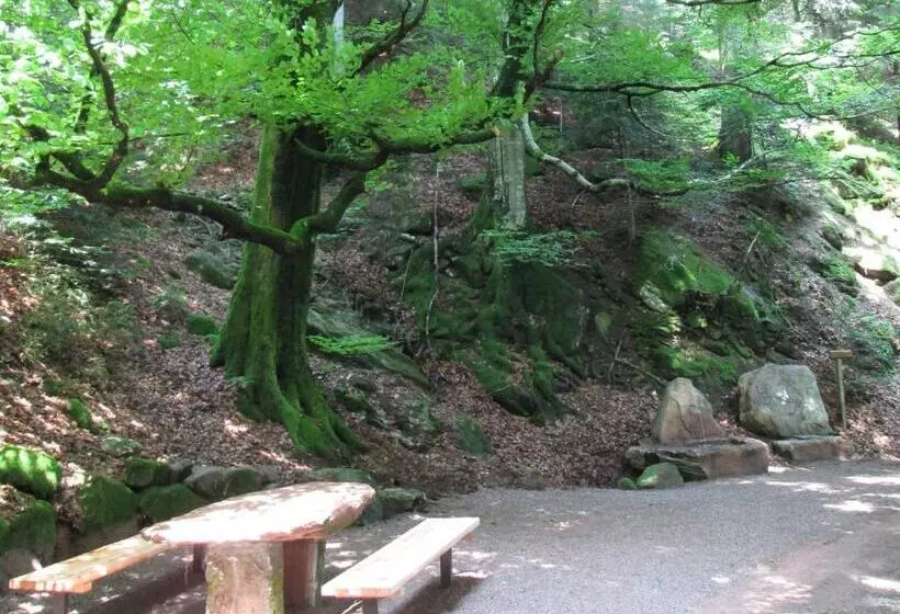ユースホステル Zuwälder Stüble