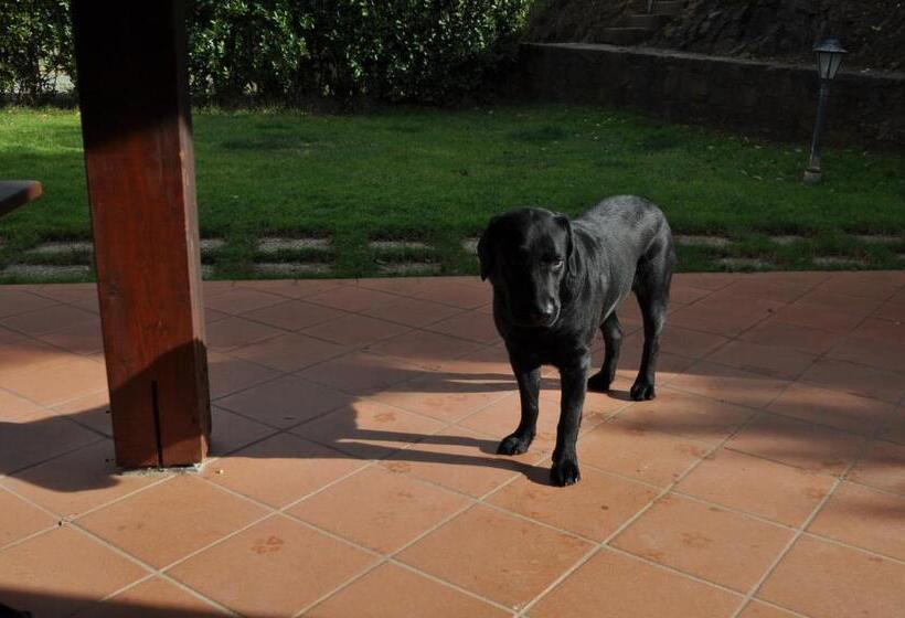 בית מלון כפרי Agriturismo Il Cerrosughero