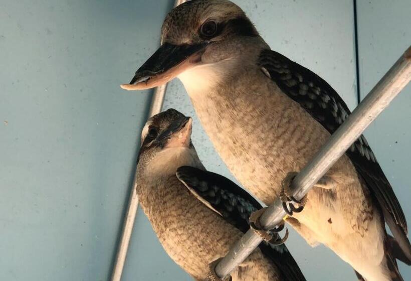 فندق Pian De' Somari