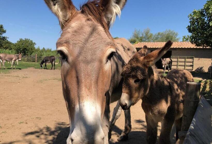فندق Pian De' Somari