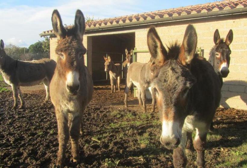 فندق Pian De' Somari