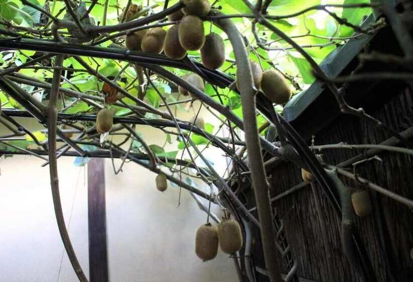 بنسيون Higurashi Sou