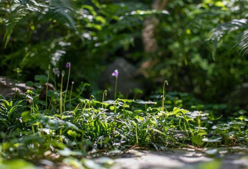 بنسيون Higurashi Sou