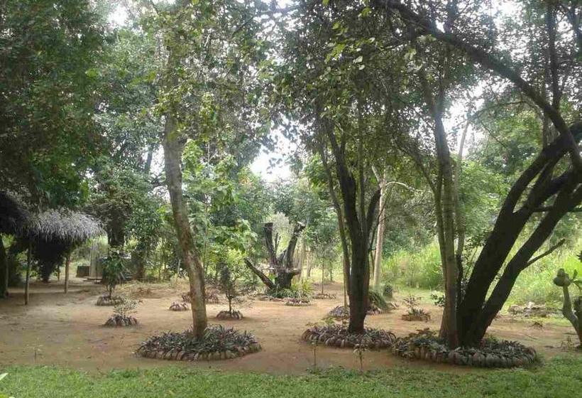 旅馆 Guruge Villa Habarana