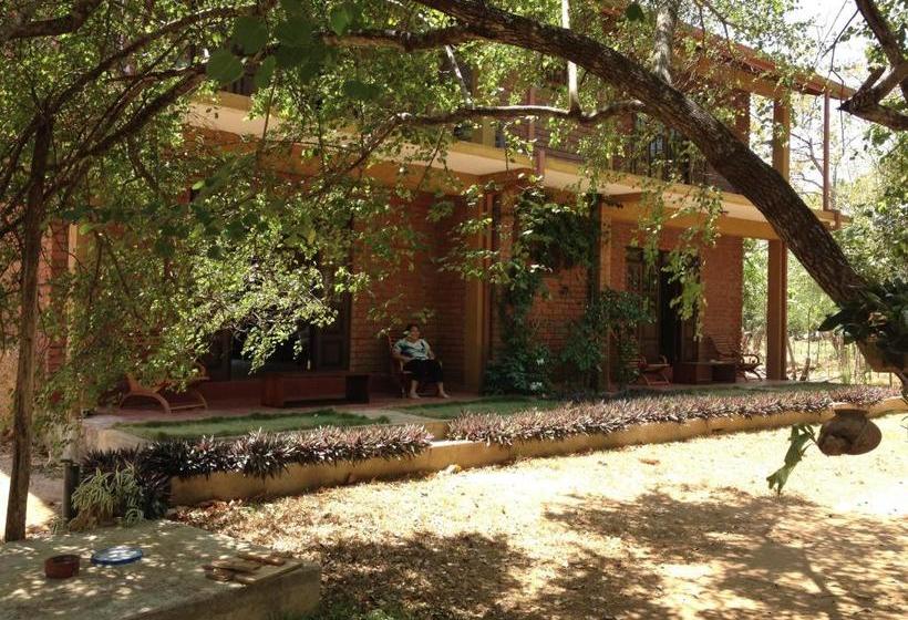 旅馆 Guruge Villa Habarana