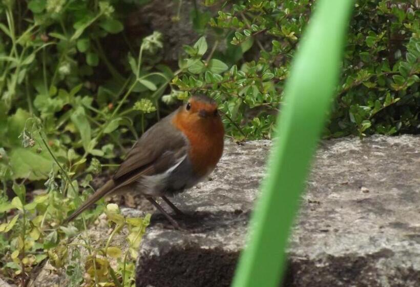 Appart Hotel Maison Saint Michel