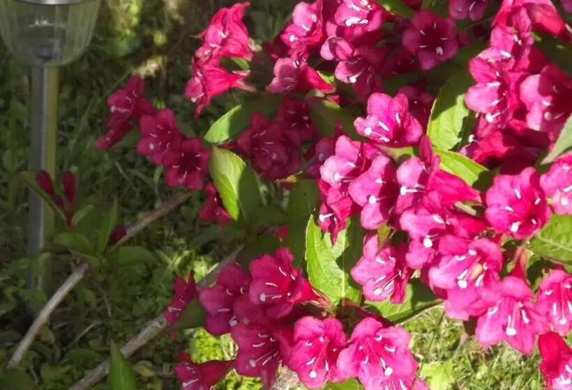 Appart Hotel Maison Saint Michel