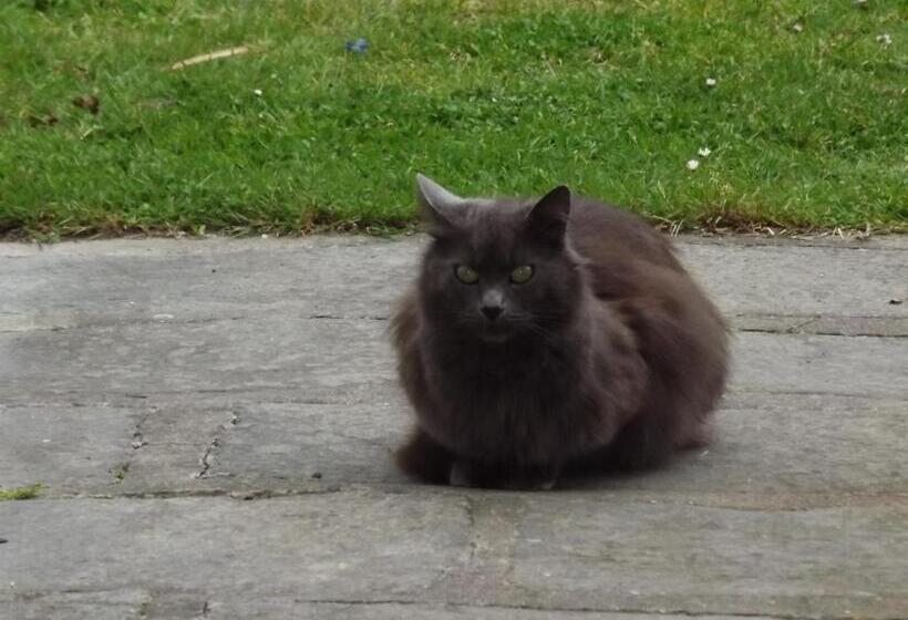 Appart Hotel Maison Saint Michel