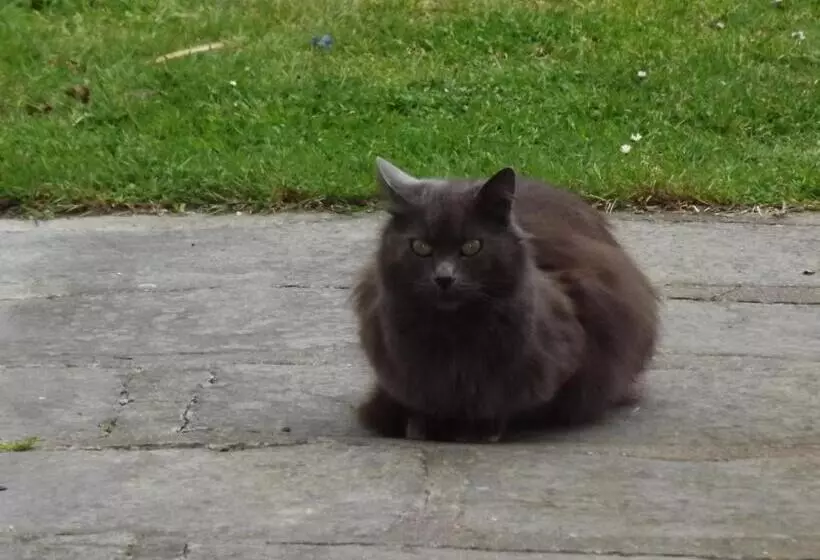 Appart Hotel Maison Saint Michel