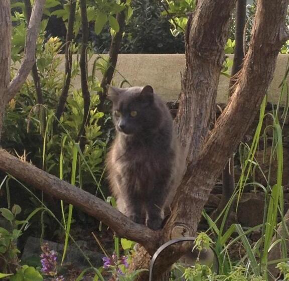 Appart Hotel Maison Saint Michel