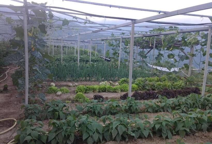 בית מלון כפרי Agriturismo Al Pagan