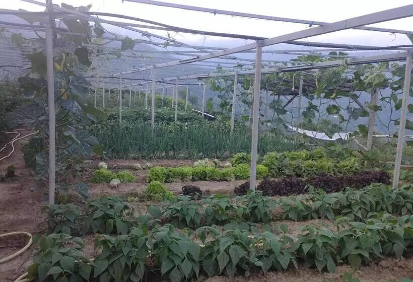 ホテル Agriturismo Al Pagan