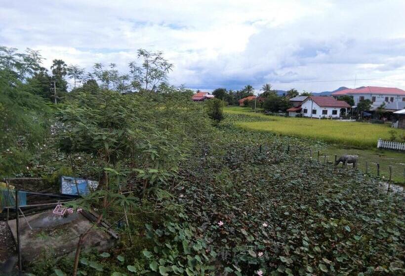 پانسیون Dalom Guesthouse