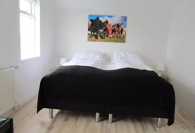 پانسیون Grand Inn Bar And Bed