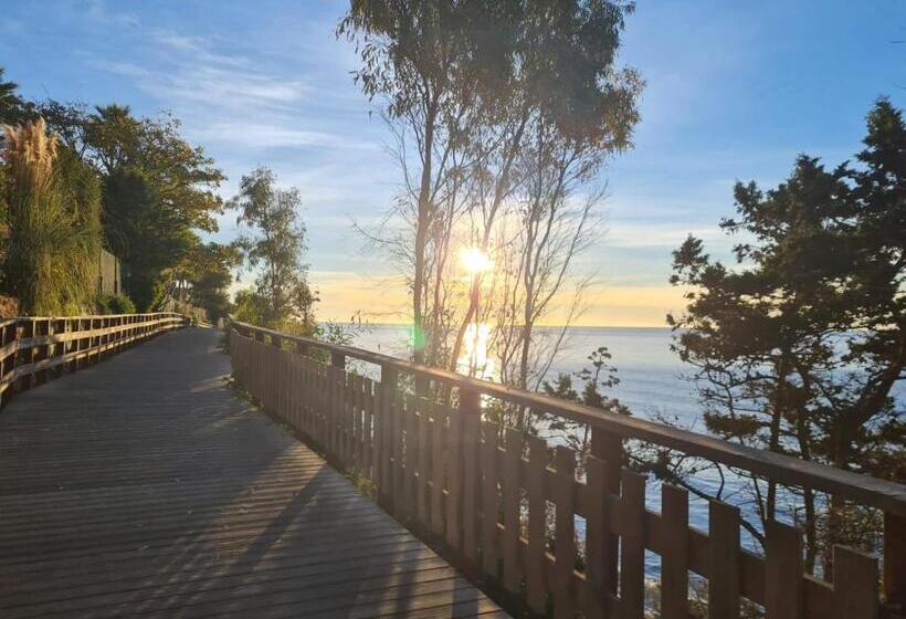 ペンション Ochomin Hostel