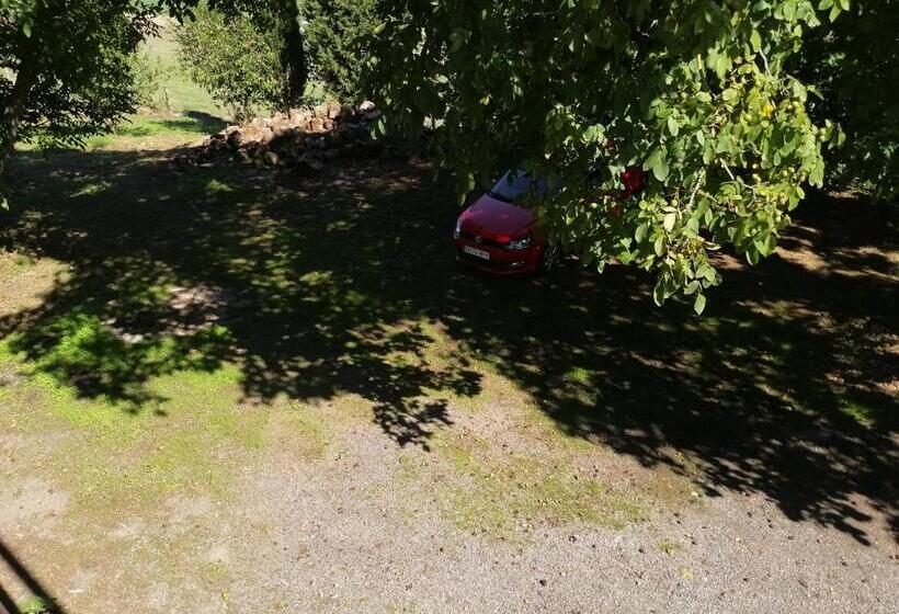 Pension Parrilla Casa Vicente