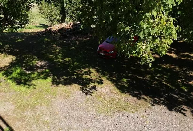 Pension Parrilla Casa Vicente