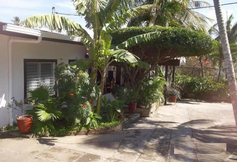 هاستل Noches Sureñas / Southern Nights Nicaragua