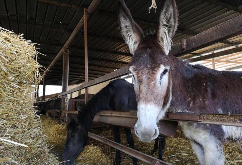 בית מלון כפרי Fontana La Pietra