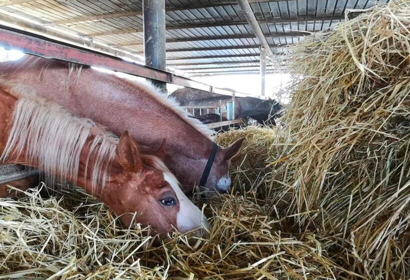 בית מלון כפרי Fontana La Pietra
