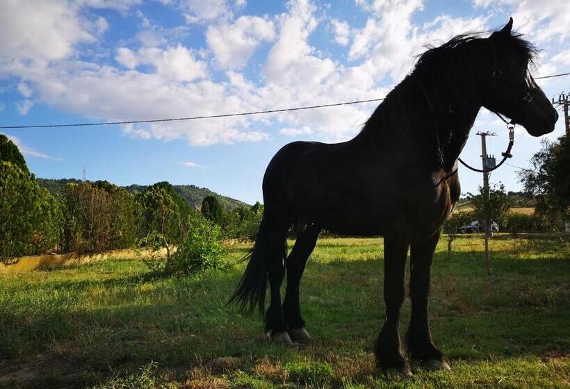 בית מלון כפרי Fontana La Pietra
