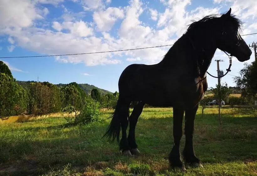 Hotelli Fontana La Pietra
