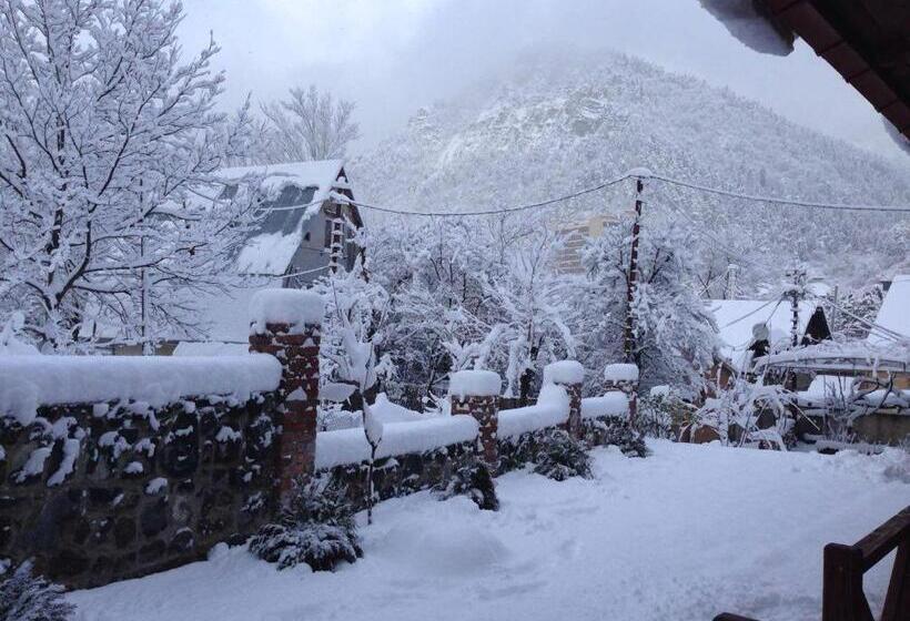 پانسیون Borjomi Cottages