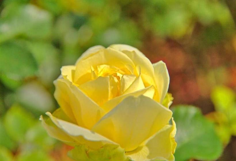 פנסיון Haus Riedl