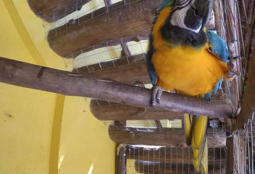 Majatalo Morada Do Aventureiro