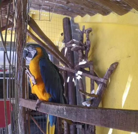 Majatalo Morada Do Aventureiro