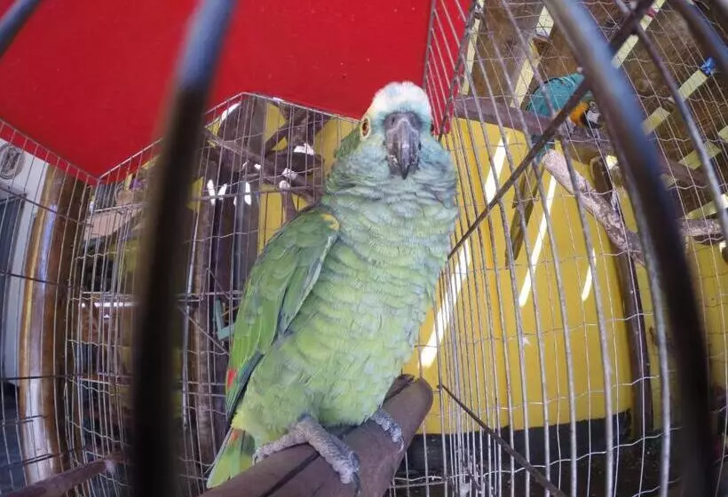 Majatalo Morada Do Aventureiro