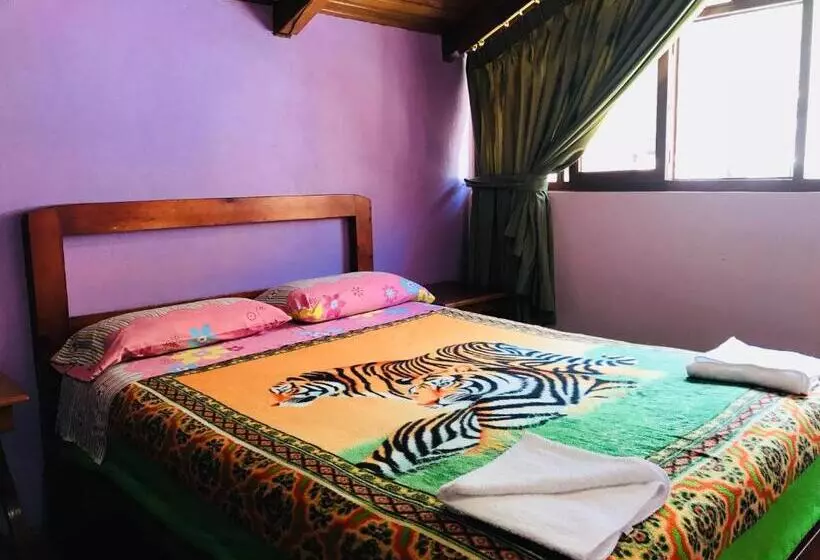 ユースホステル Hostal Princesa Maria