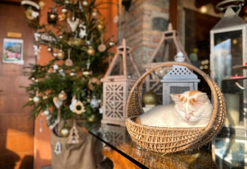 فندق Agriturismo La Cavallina