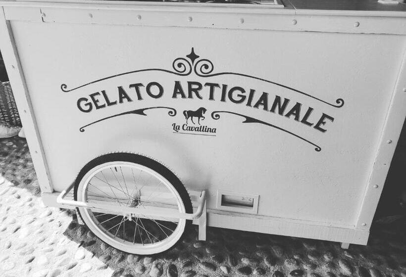 فندق Agriturismo La Cavallina