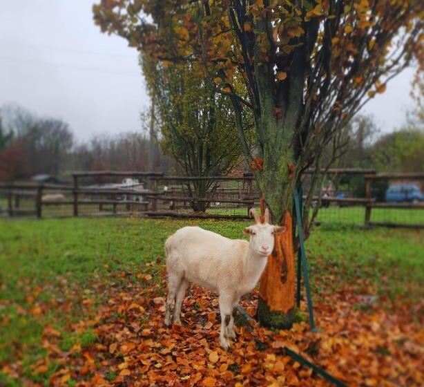 فندق Agriturismo La Cavallina