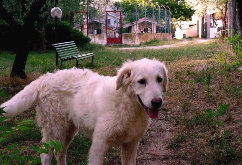 هتل Agriturismo Valle Verde