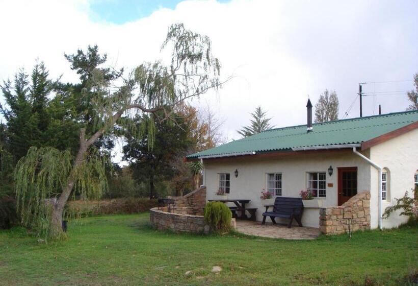 فندق Klondyke Cherry Farm